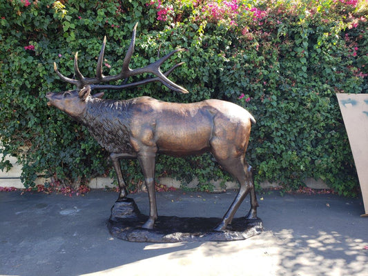 Life-Size Elk Bronze Statue - Size: 43"L x 99"W x 87"H.