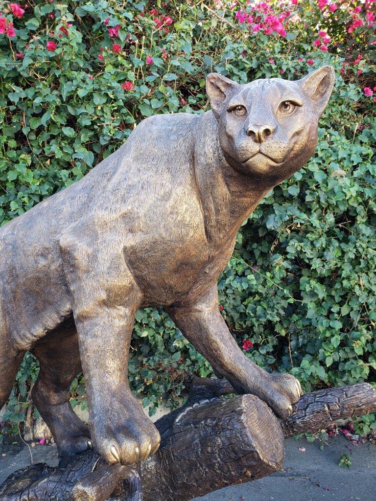 Mountain Lion Going Up a Tree Log Bronze Statue - Size: 42"L x 65"W x 69"H.
