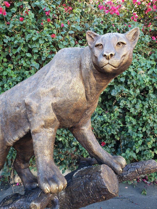 Mountain Lion Going Up a Tree Log Bronze Statue -  Size: 42"L x 65"W x 69"H.