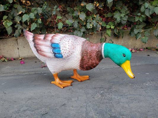 Duck Standing Looking Down Bronze Statue - Size: 24"L x 9"W x 12"H.