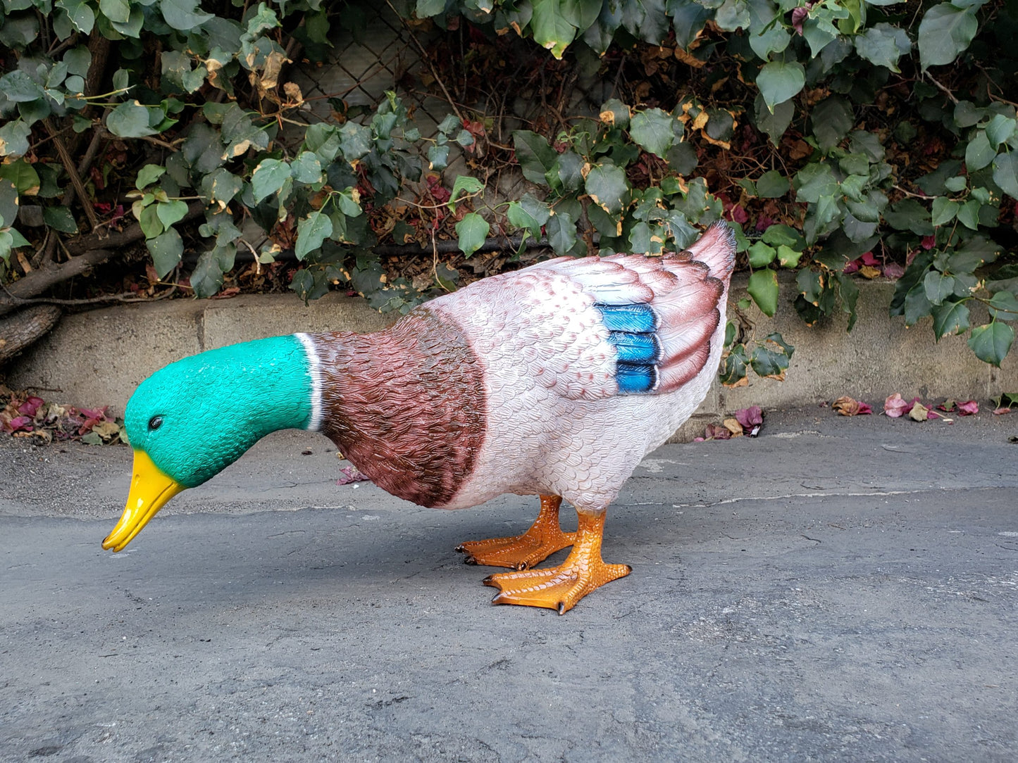 Duck Standing Looking Down Bronze Statue - Size: 24"L x 9"W x 12"H.