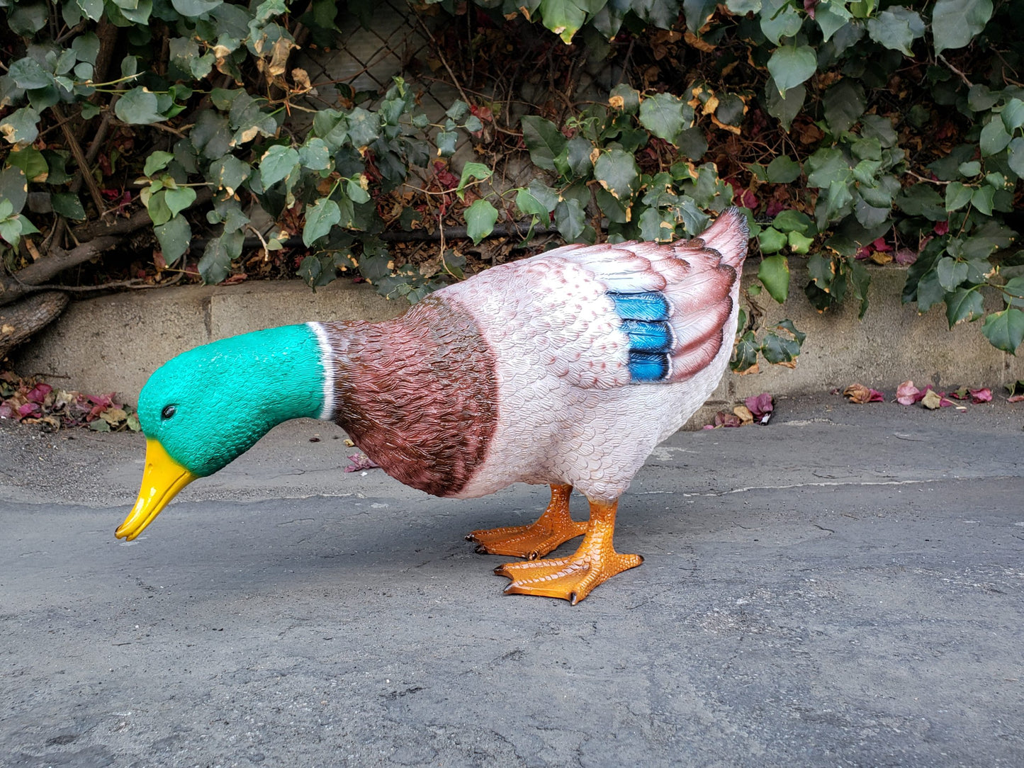 Duck Standing Looking Down Bronze Statue - Size: 24"L x 9"W x 12"H.