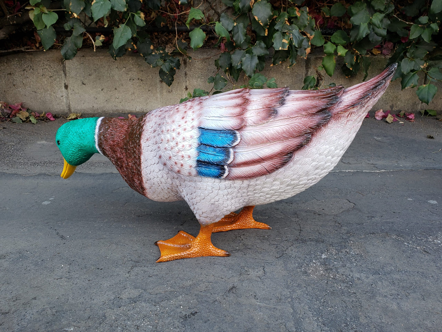 Duck Standing Looking Down Bronze Statue - Size: 24"L x 9"W x 12"H.