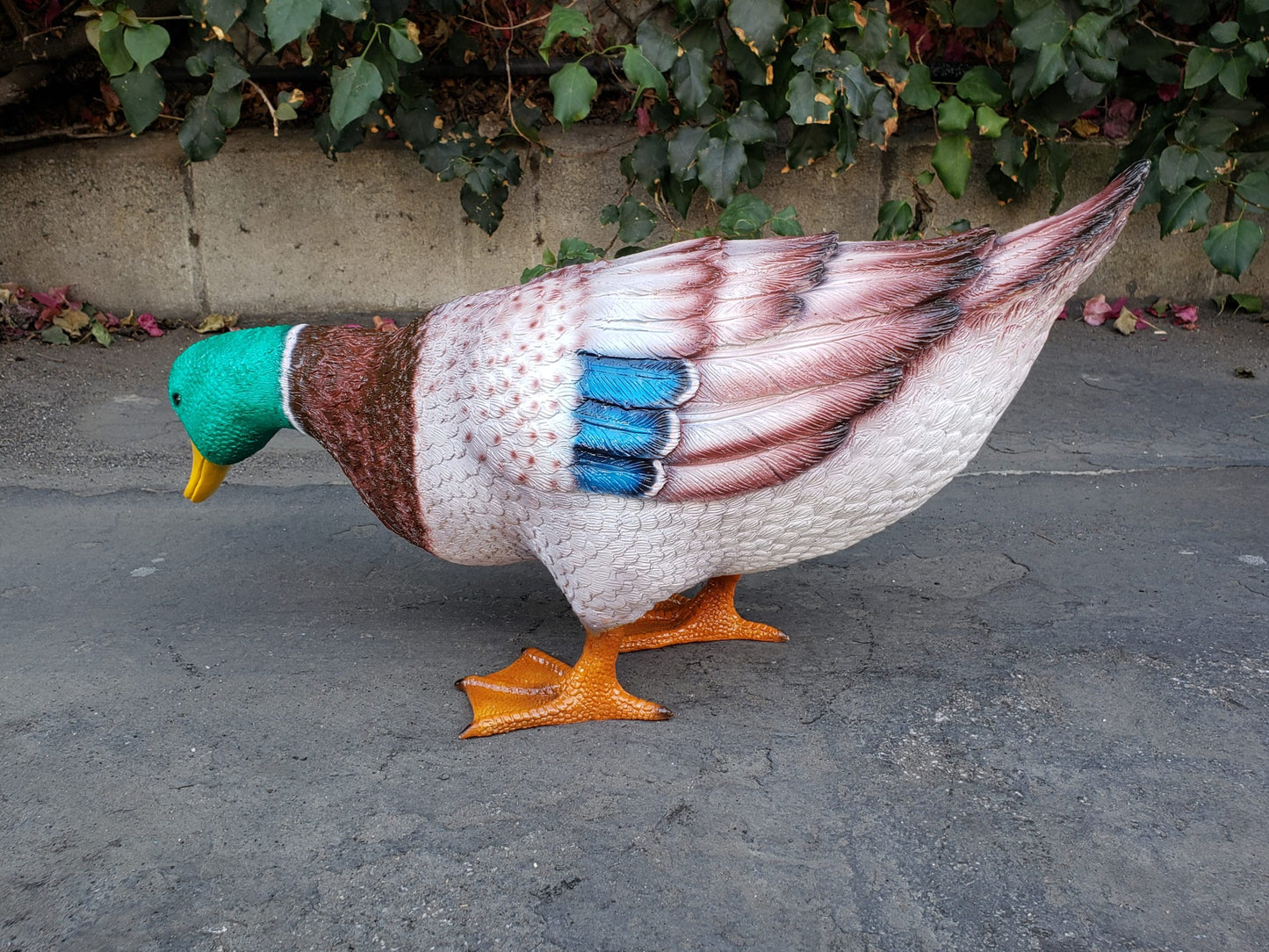 Duck Standing Looking Down Bronze Statue - Size: 24"L x 9"W x 12"H.