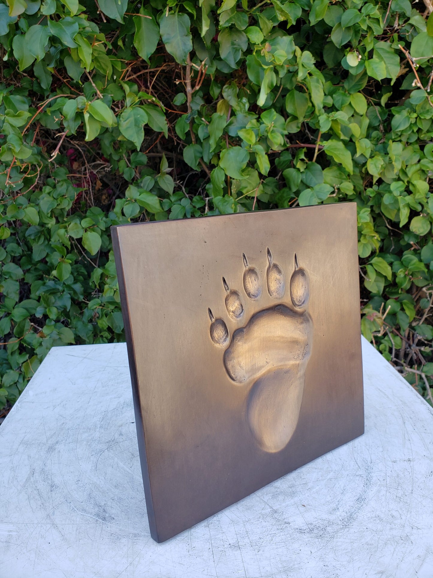 Bear Paw Print made of Bronze Wall decor Size: 10" x 10" x 1"H