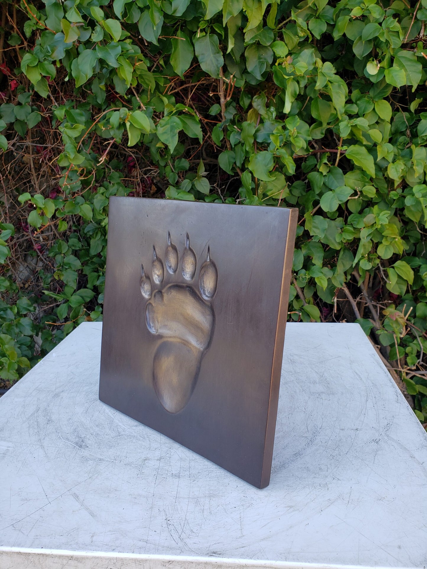 Bear Paw Print made of Bronze Wall decor Size: 10" x 10" x 1"H