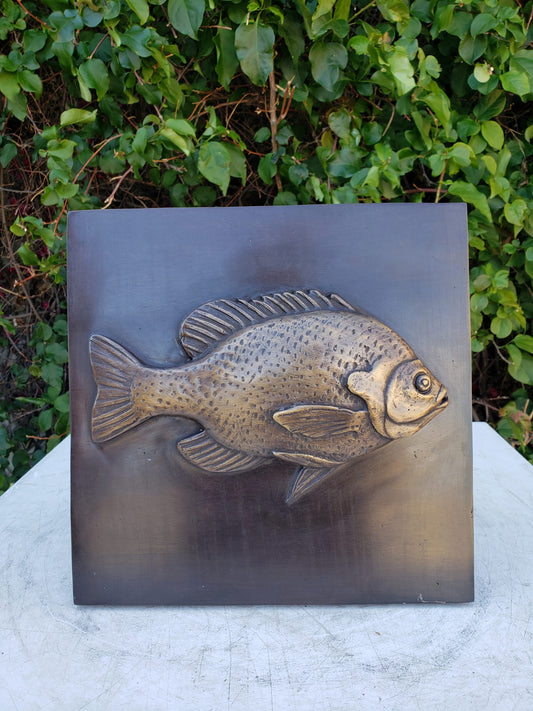 Single Fish made of Bronze Wall decor Size: 10" x 10" x 1"H