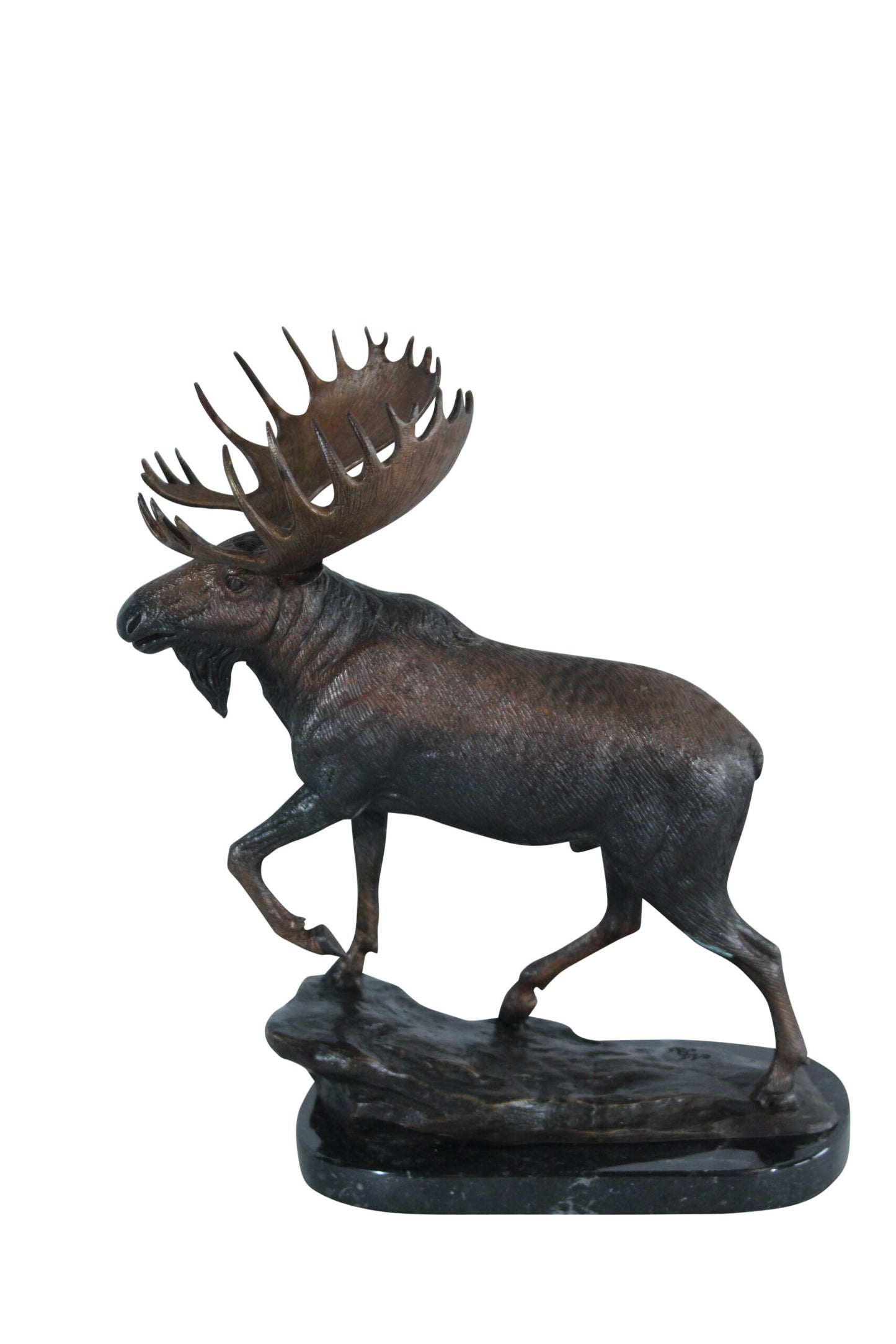 Nifao Bronze Moose Statue - Indoor/Outdoor Wildlife Sculpture,Wax Casting with Lifelike Detail, Moose Walking Pose on Polished Black Marble Base for Homes, Offices & Collectors11 x 4" x 13"H