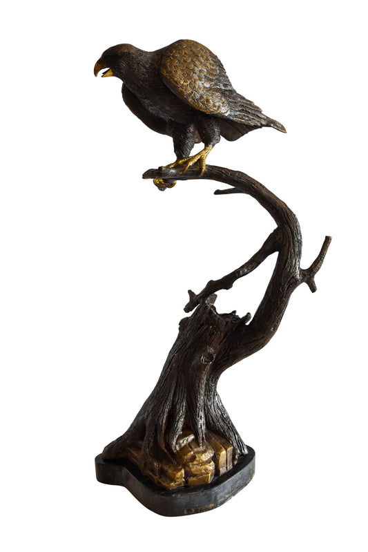 Observant Hawk on Arched Branch Bronze Statue 17" x 19" x 32"H