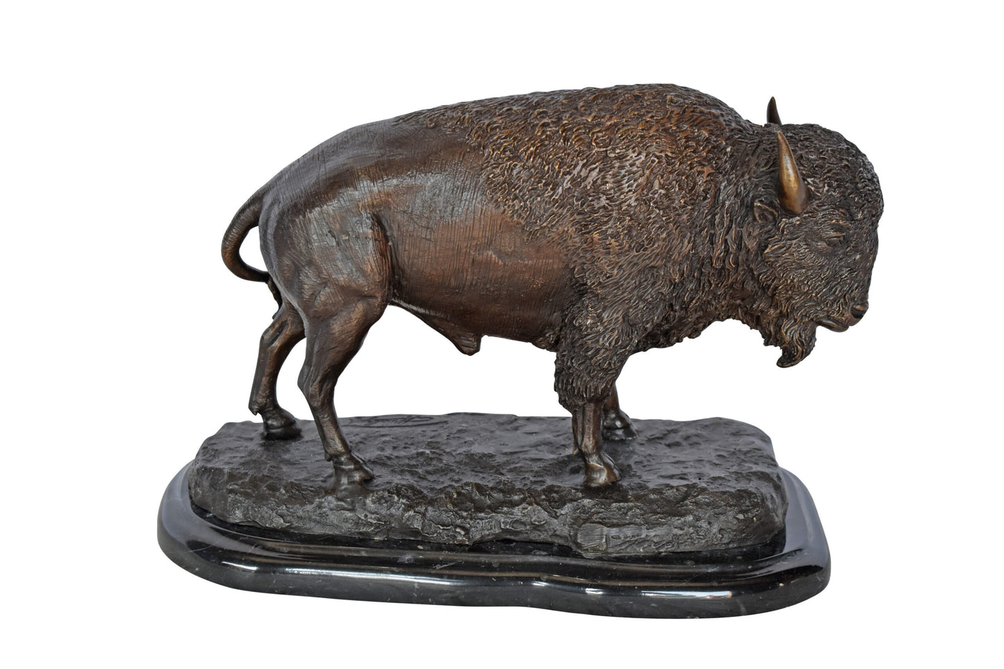 Bison standing and looking down Bronze Statue - Size: 11"L x 6"W x 8"H.
