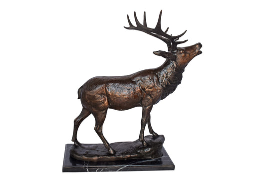Elk Looking Up Bronze Statue - Size: 20"L x 12"W x 25"H.