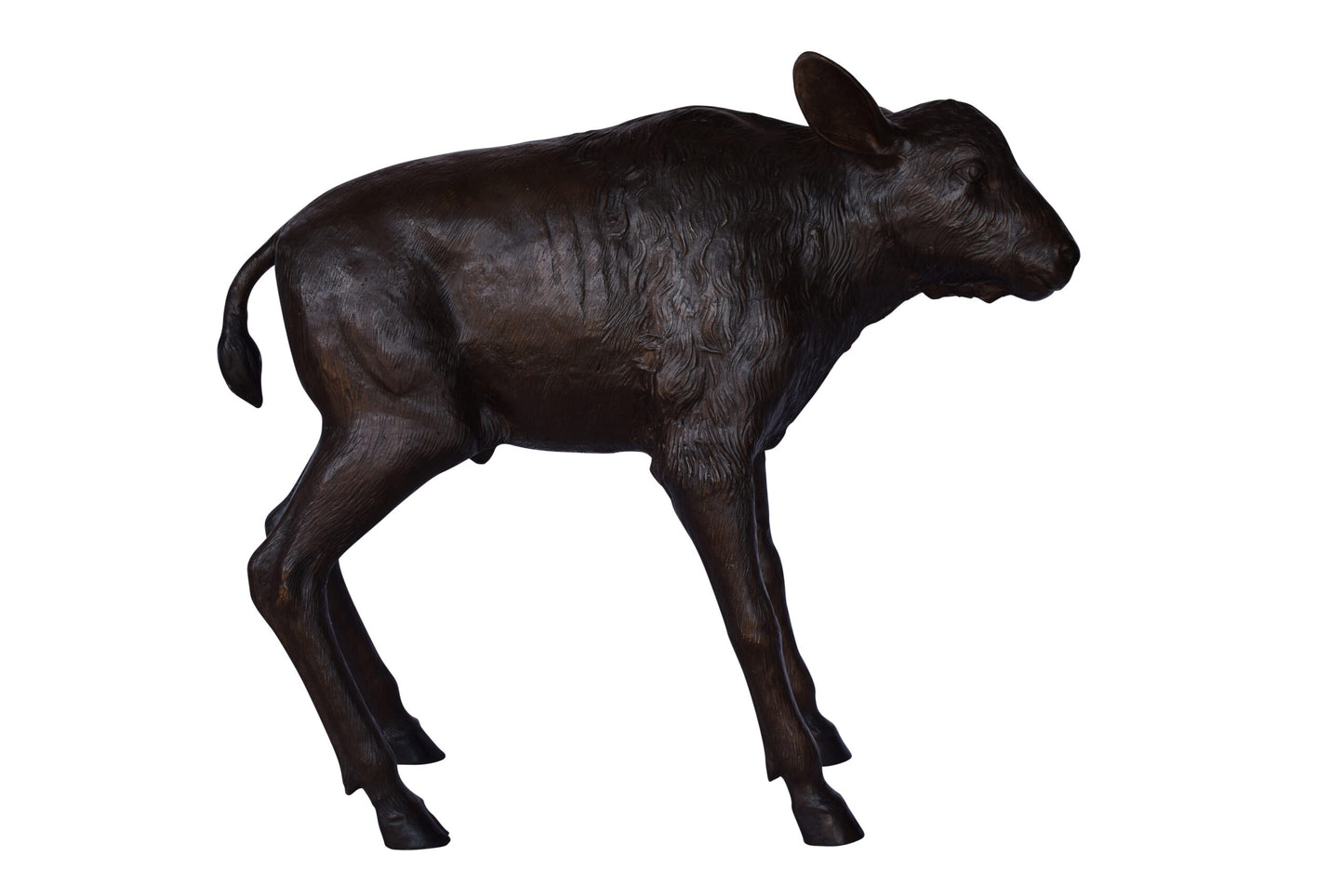 Bison Calf Lifesize Bronze Statue - Size: 37"L x 15"W x 32"H.