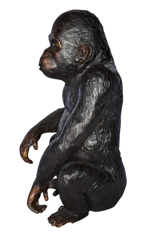 Baby Gorilla Sitting Detailed and Impressive Bronze Statue  18" x 14" x 30"H