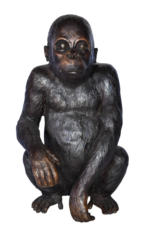 Baby Gorilla Sitting Detailed and Impressive Bronze Statue 18" x 14" x 30"H