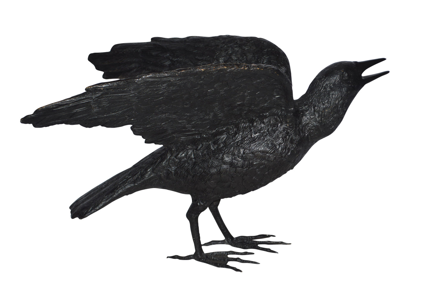 Raven with Open Wings Bronze Statue - Size: 16"L x 25"W x 15"H.