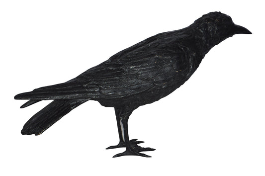 Raven with his head up Bronze Statue - Size: 23"L x 6"W x 13"H.