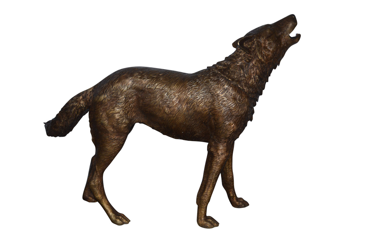 Wolf Standing and Howling Life Size Bronze Statue - Size: 45"L x 15"W x 34"H.