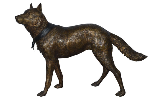 Wolf Standing Life Size Bronze Statue - Size: 45"L x 15"W x 33"H.