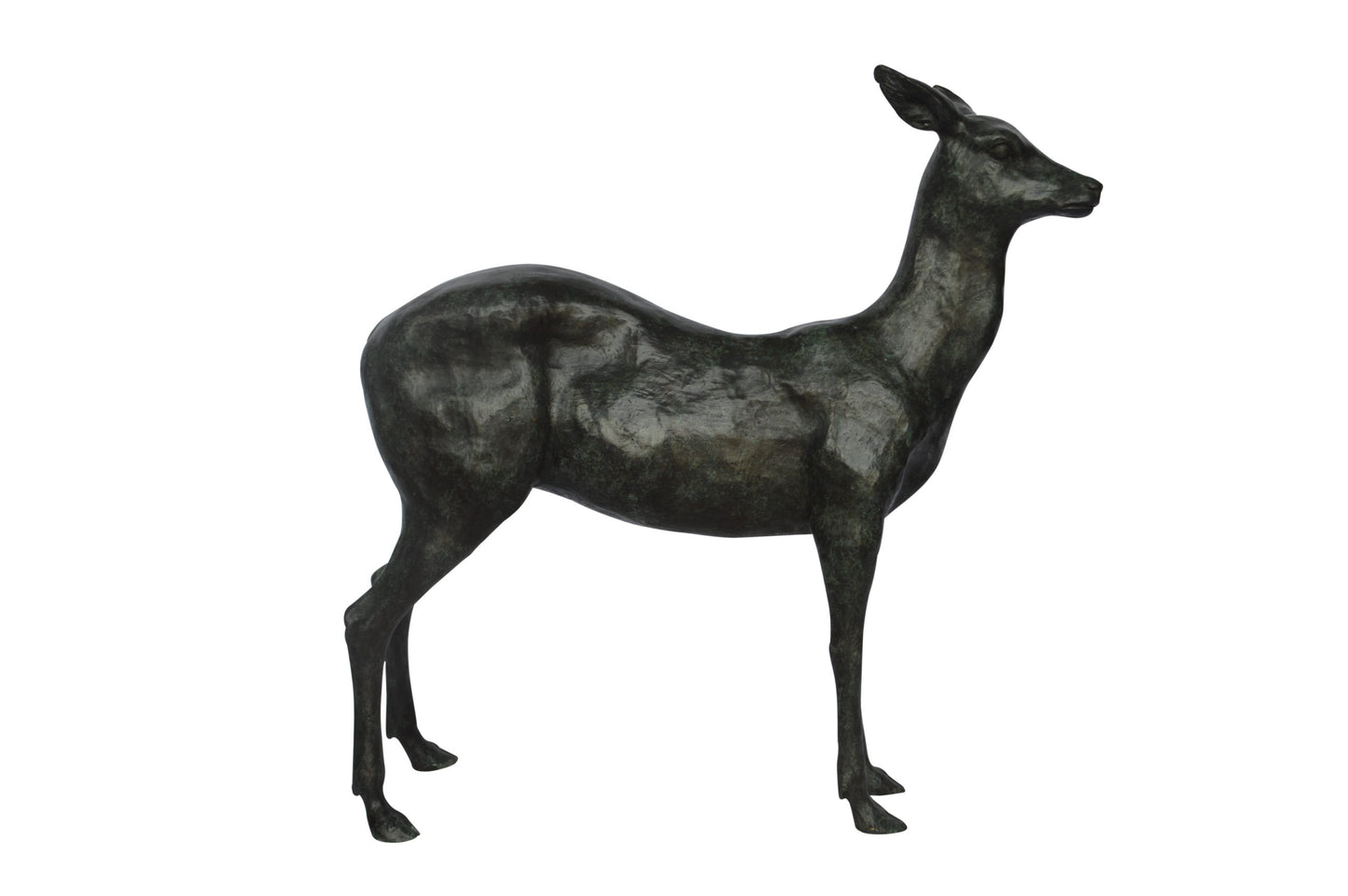 Doe - Baby Deer Green patina Bronze Statue - Size: 30"L x 8"W x 31"H.