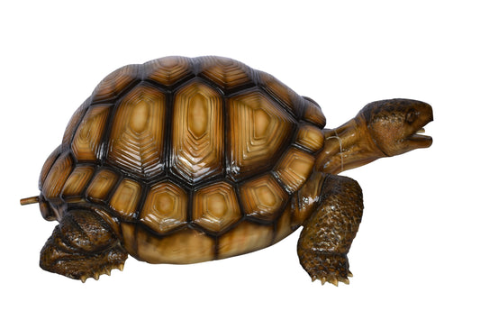 Giant Tortoise Turtle Fountain Light Brown Finish Bronze Statue  24"x 38" x 16"H