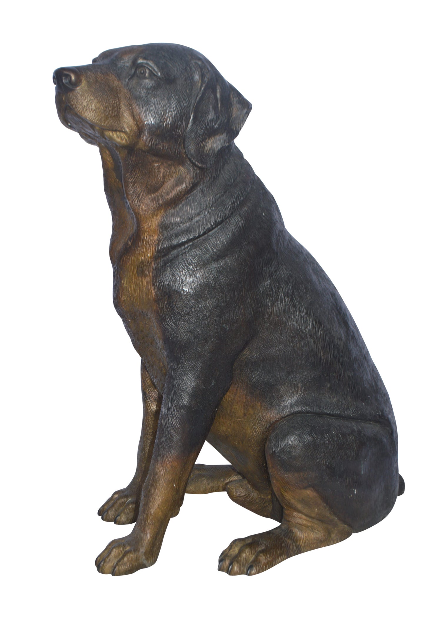 Labrador Retriever Sitting bronze statue - Size: 19"L x 15"W x 25"H.