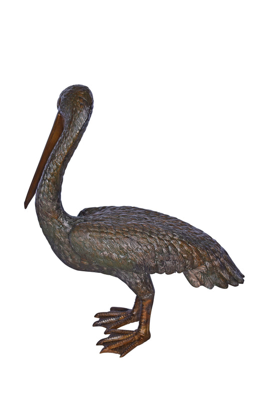 Pelican Standing and Looking Down Bronze Statue - Size: 20"L x 8"W x 22"H.