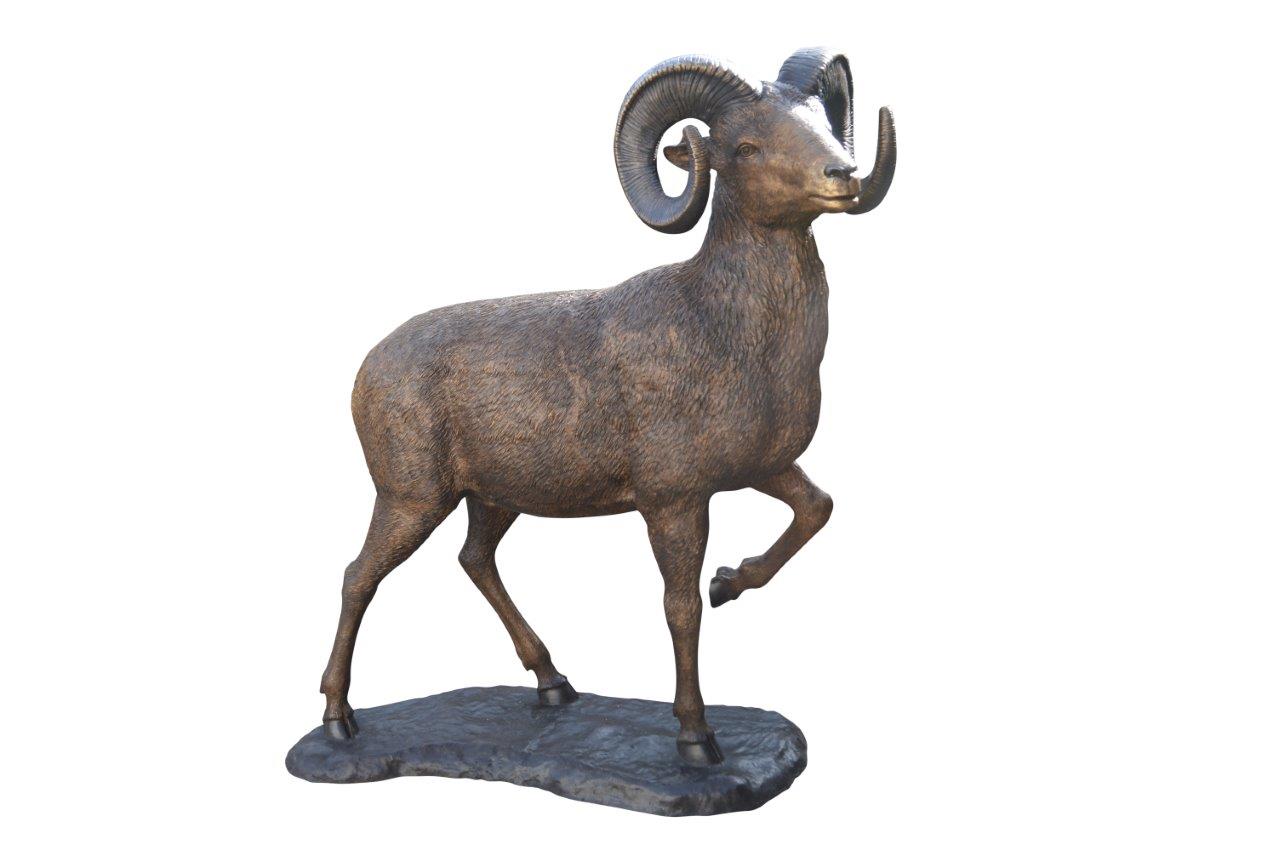 Big horn sheep giant bronze statue -  Size: 45"L x 22"W x 61"H.