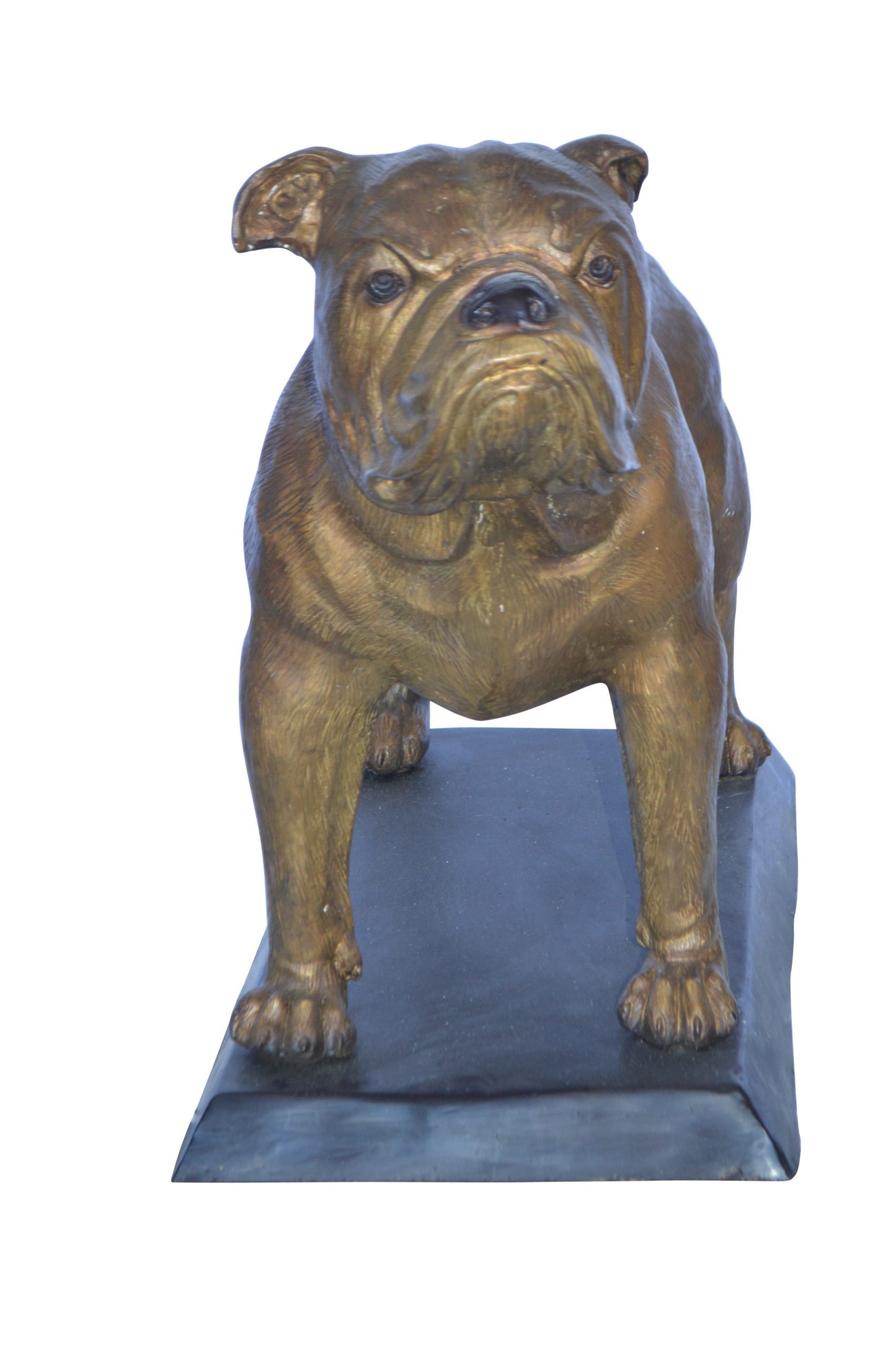 Bulldog Bronze Statue Mounted on a Base -  Size: 32"L x 10"W x 21"H.