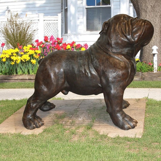 Bulldog Giant Bronze Statue -  Size: 62"L x 26"W x 44"H.