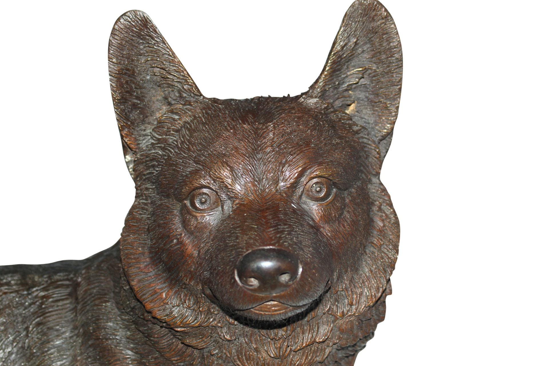 Corgi dog standing Bronze Statue -  Size: 20"L x 8"W x 15"H.