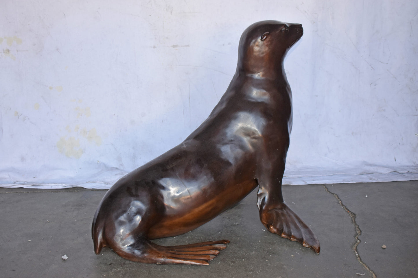Perched Life Size Seal bronze statue - Size: 40"L x 35"W x 31"H.