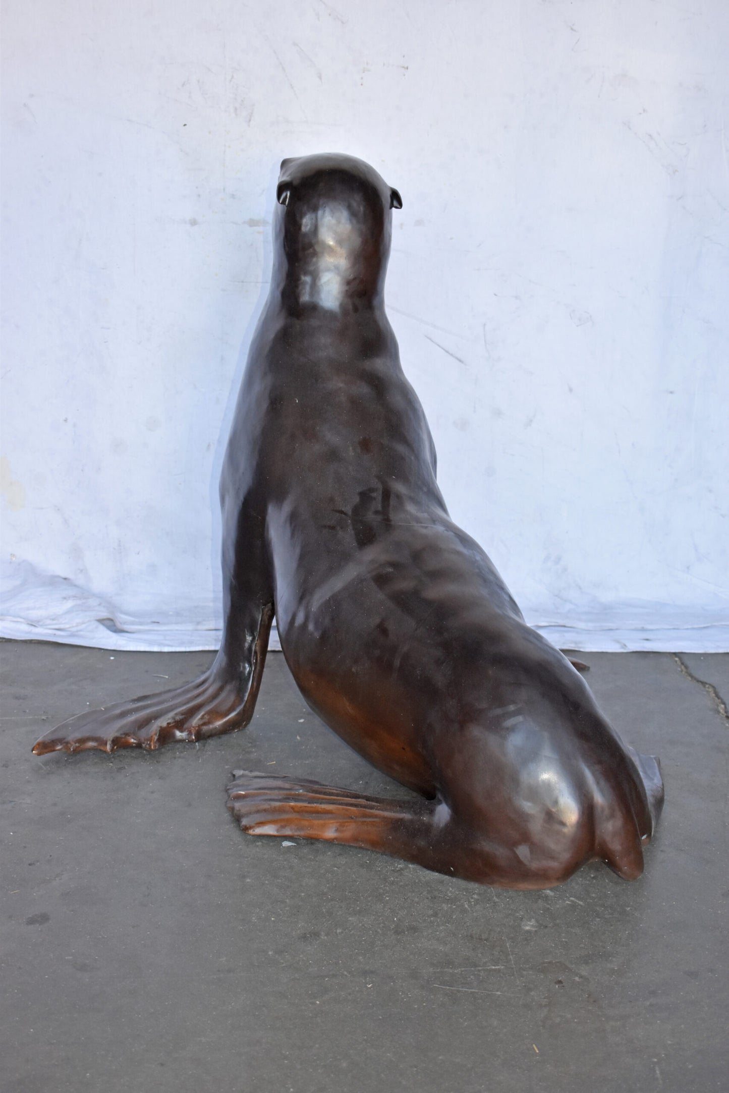 Perched Life Size Seal bronze statue - Size: 40"L x 35"W x 31"H.