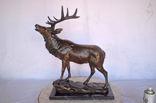 Elk Looking Up Bronze Statue - Size: 20"L x 12"W x 25"H.