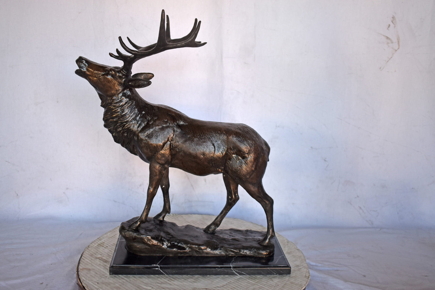 Elk Looking Up Bronze Statue - Size: 20"L x 12"W x 25"H.