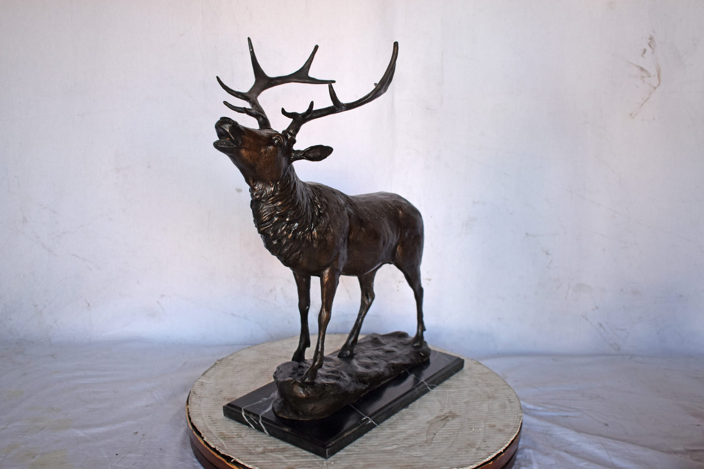 Elk Looking Up Bronze Statue - Size: 20"L x 12"W x 25"H.