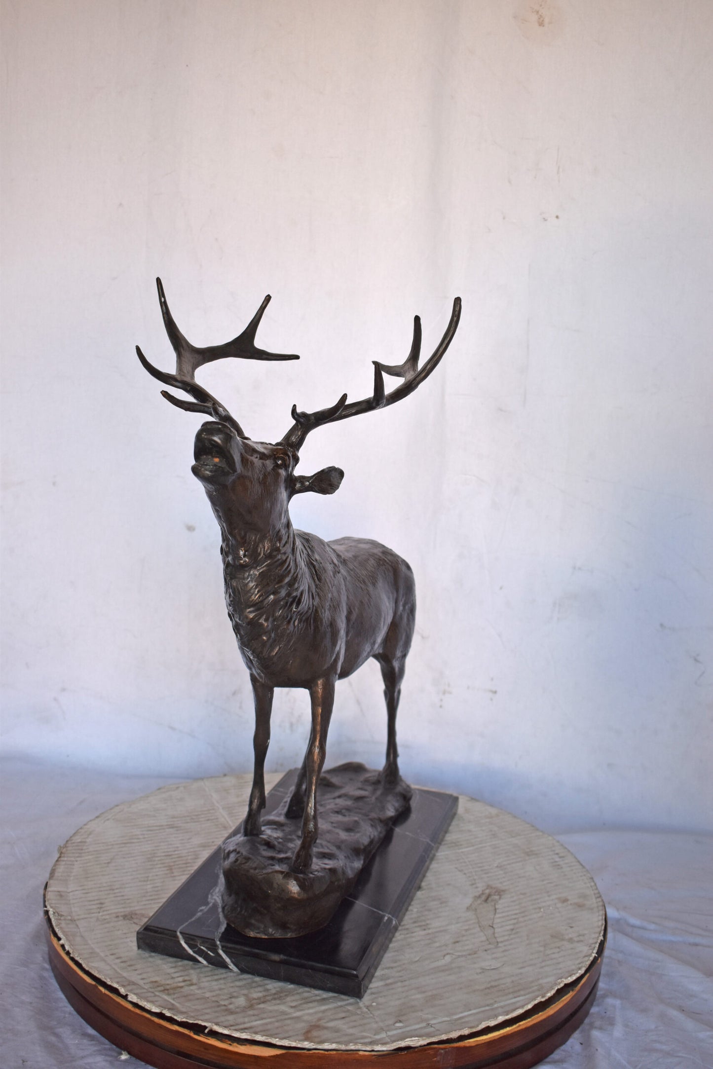 Elk Looking Up Bronze Statue - Size: 20"L x 12"W x 25"H.