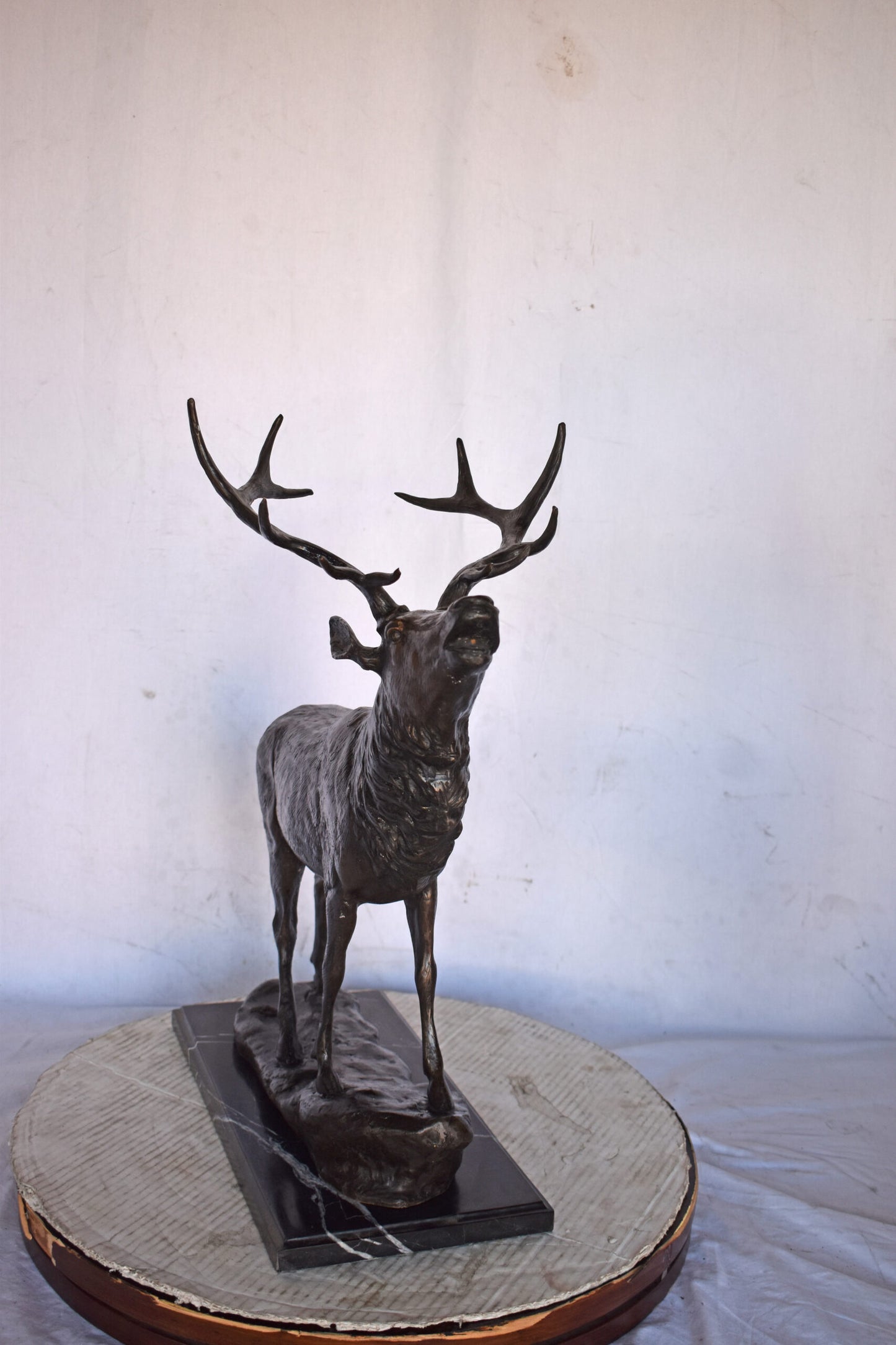 Elk Looking Up Bronze Statue - Size: 20"L x 12"W x 25"H.