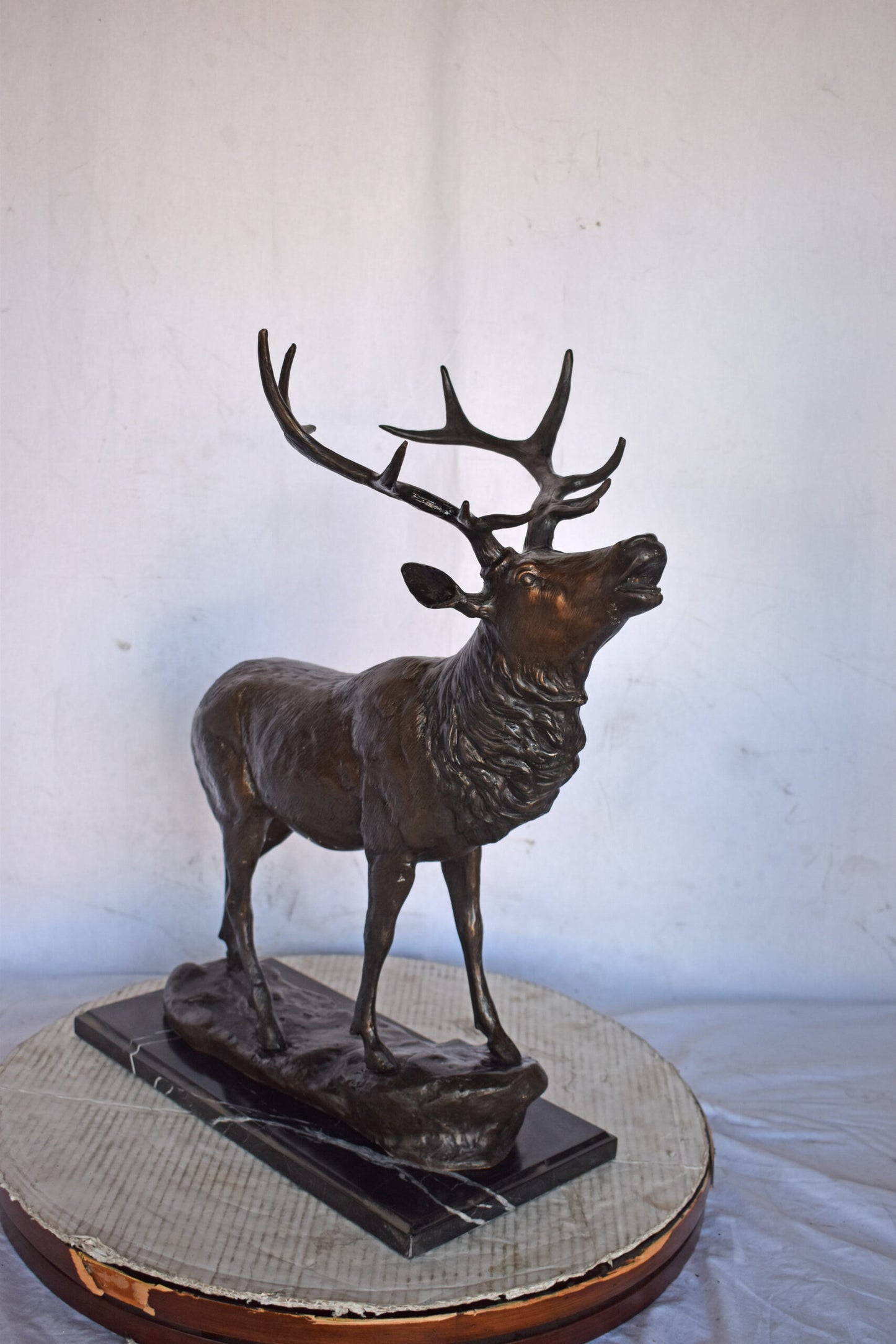 Elk Looking Up Bronze Statue - Size: 20"L x 12"W x 25"H.
