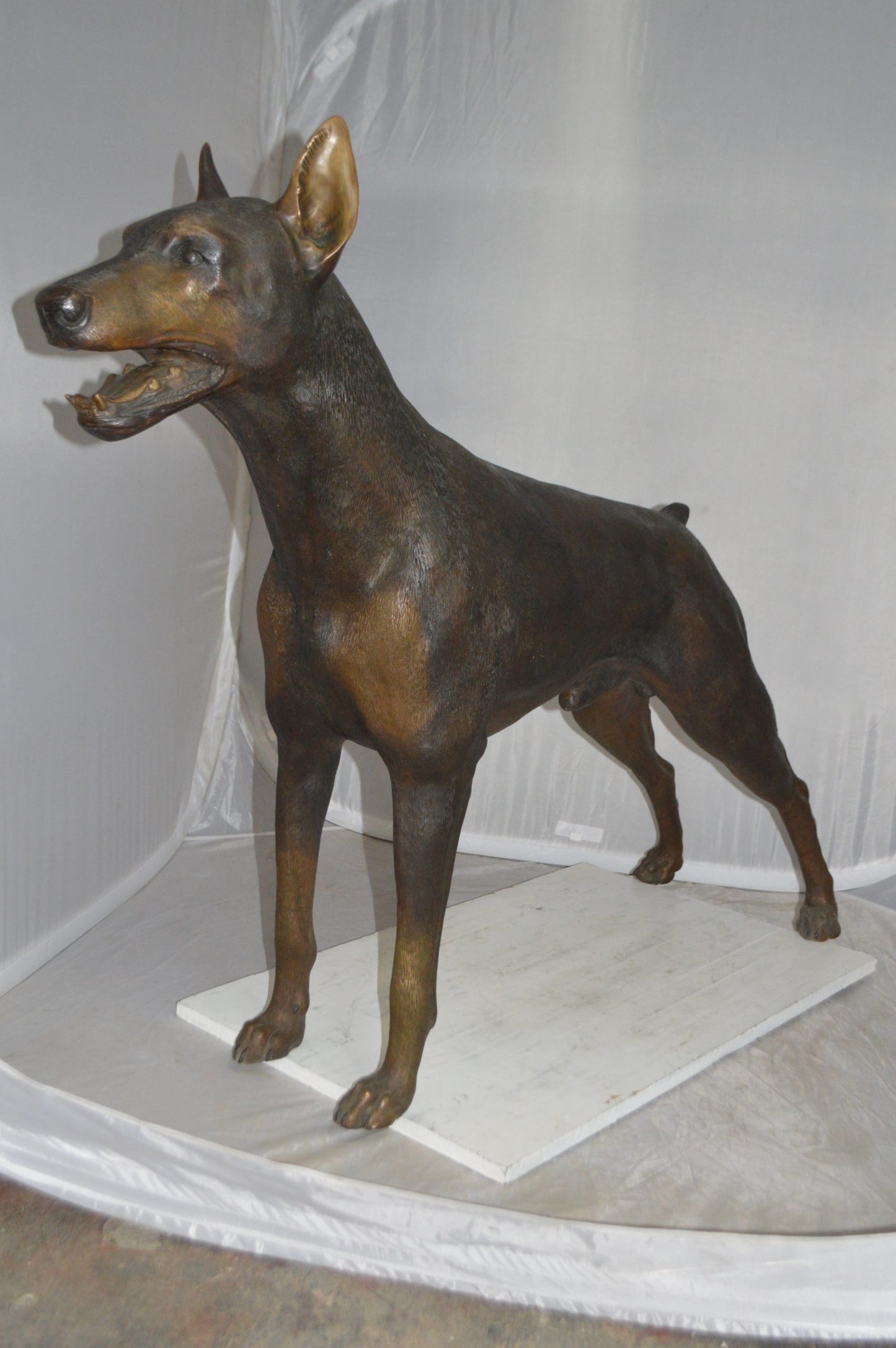 Doberman - Large Bronze Statue -  Size: 14"L x 52"W x 38"H.