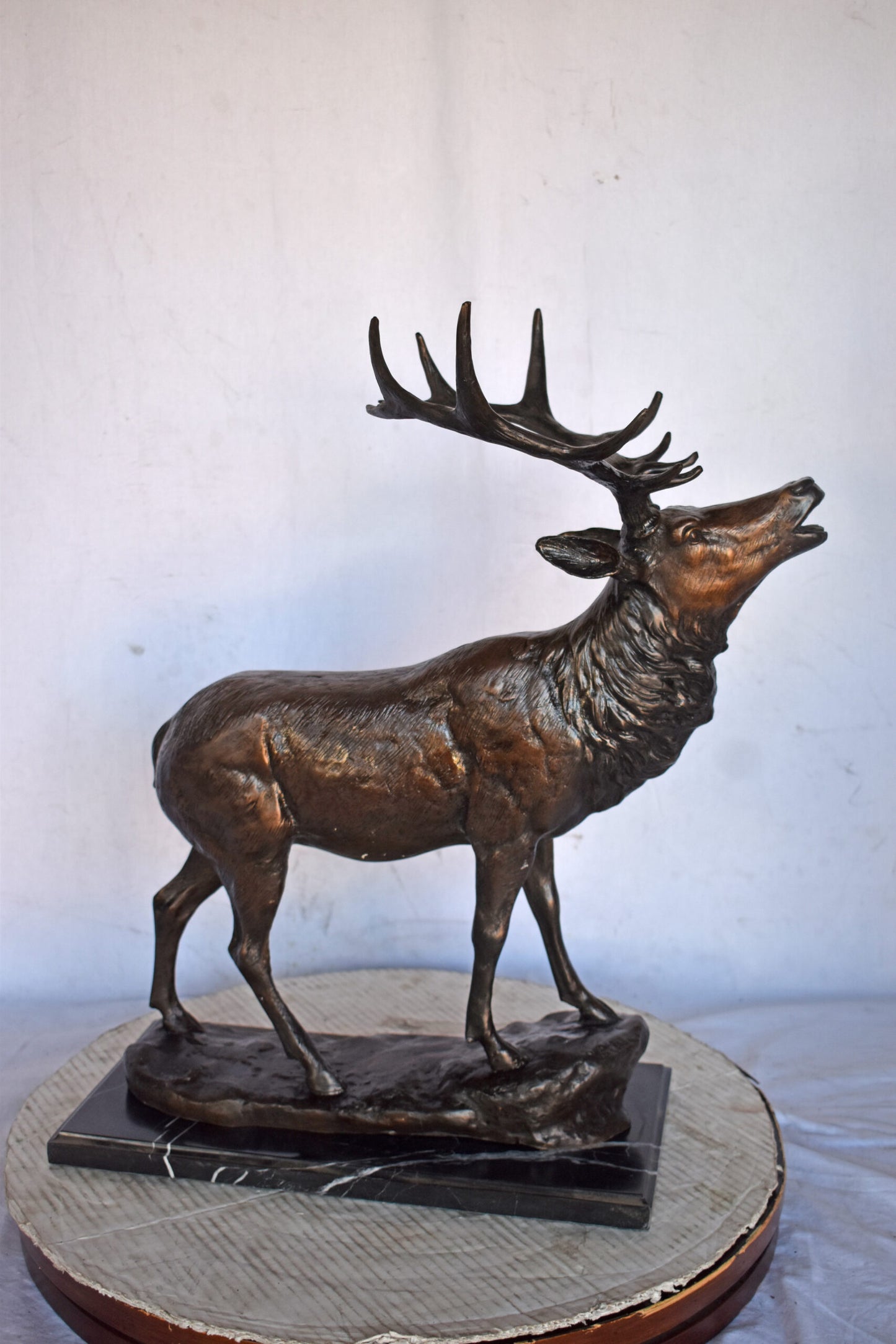 Elk Looking Up Bronze Statue - Size: 20"L x 12"W x 25"H.