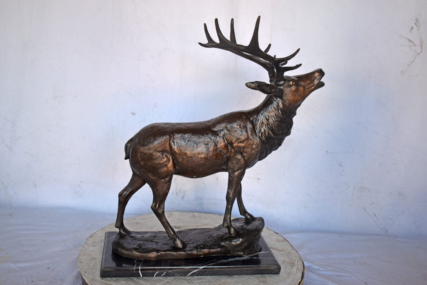Elk Looking Up Bronze Statue - Size: 20"L x 12"W x 25"H.