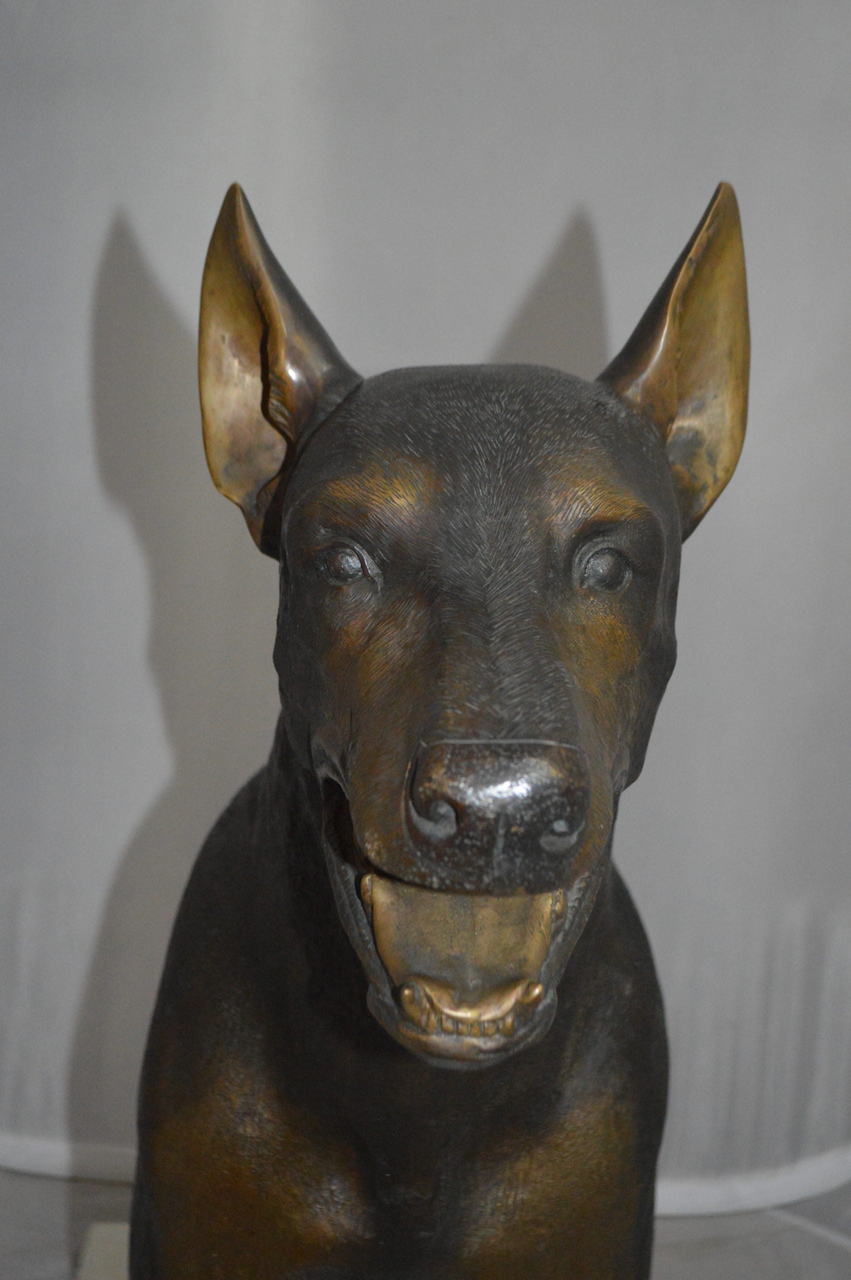 Doberman - Large Bronze Statue -  Size: 14"L x 52"W x 38"H.