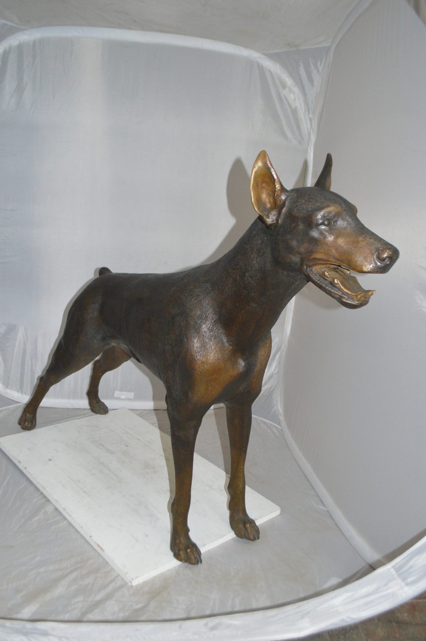 Doberman - Large Bronze Statue - Size: 14"L x 52"W x 38"H.