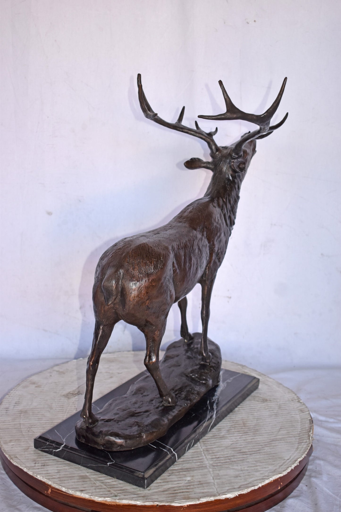 Elk Looking Up Bronze Statue - Size: 20"L x 12"W x 25"H.