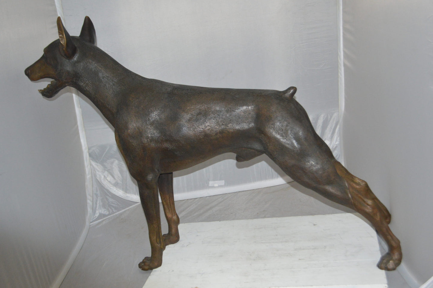 Doberman - Large Bronze Statue - Size: 14"L x 52"W x 38"H.