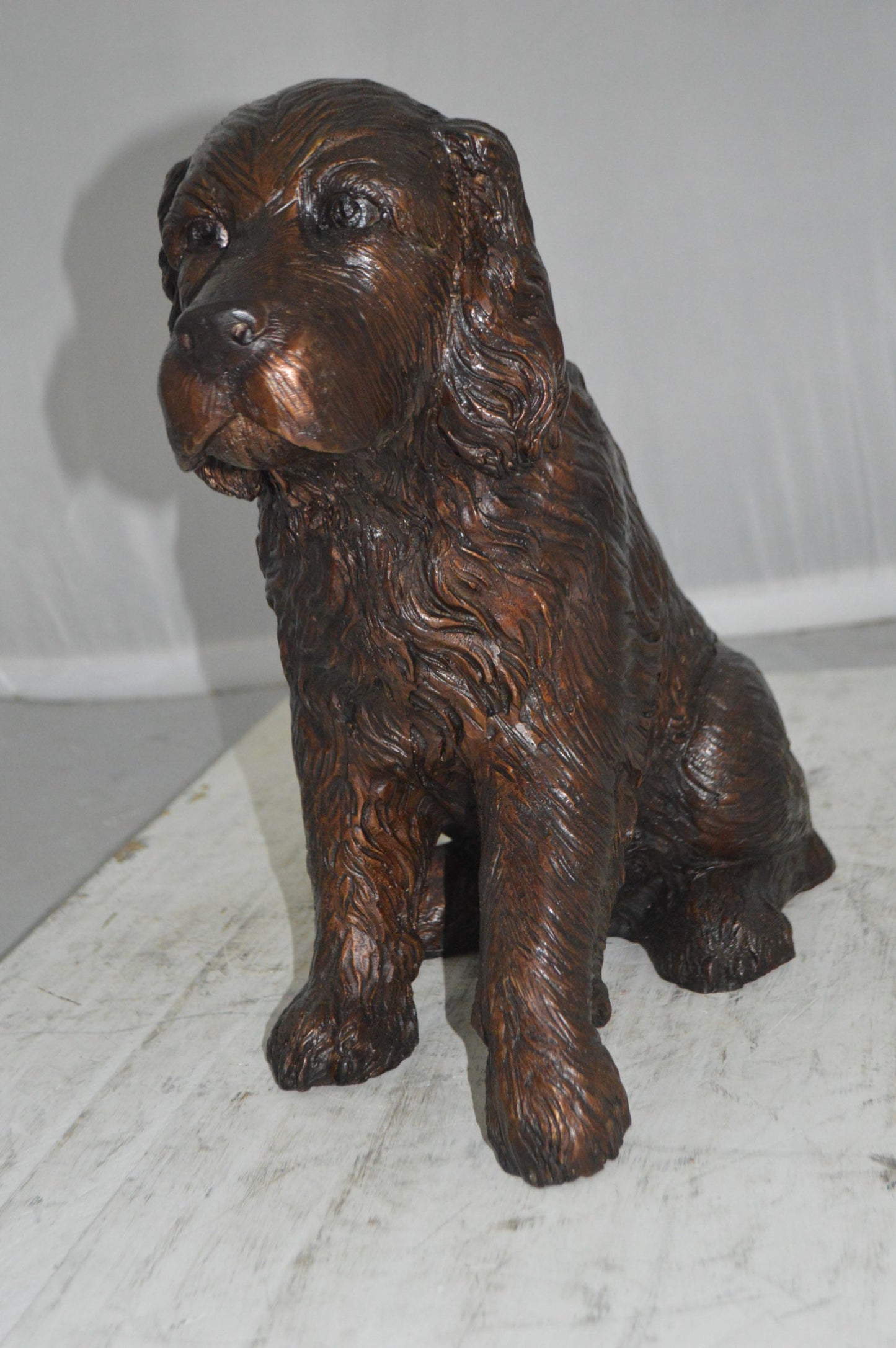 Cocker Spaniel dog Sitting Bronze Statue - Size: 20"L x 10"W x 16"H.