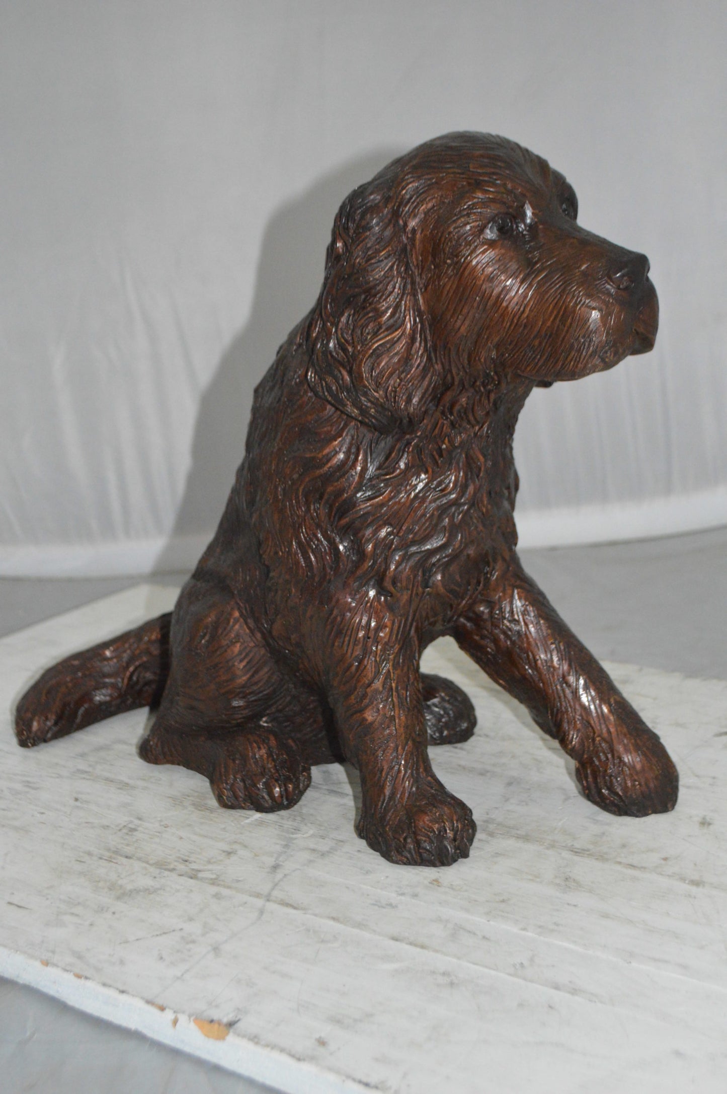 Cocker Spaniel dog Sitting Bronze Statue -  Size: 20"L x 10"W x 16"H.