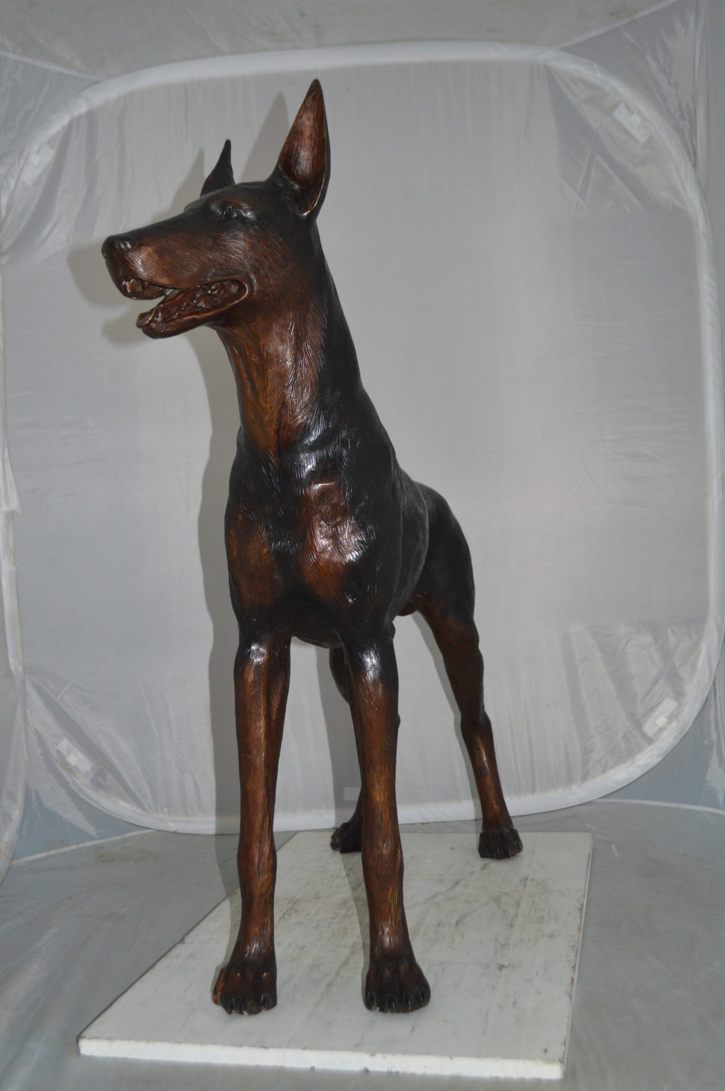 Doberman Dog Bronze Statue -  Size: 36"L x 9"W x 38"H.