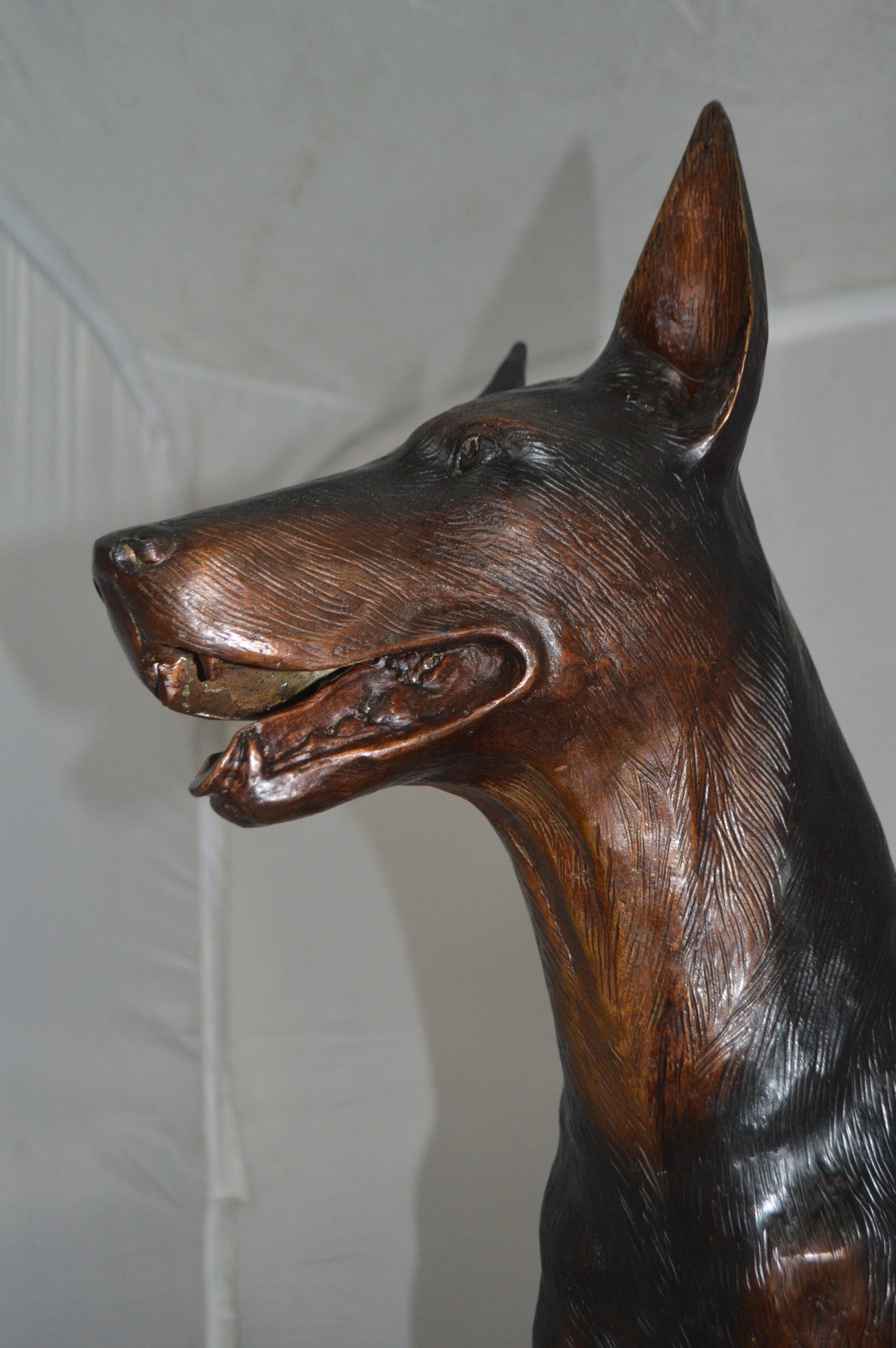 Doberman Dog Bronze Statue -  Size: 36"L x 9"W x 38"H.