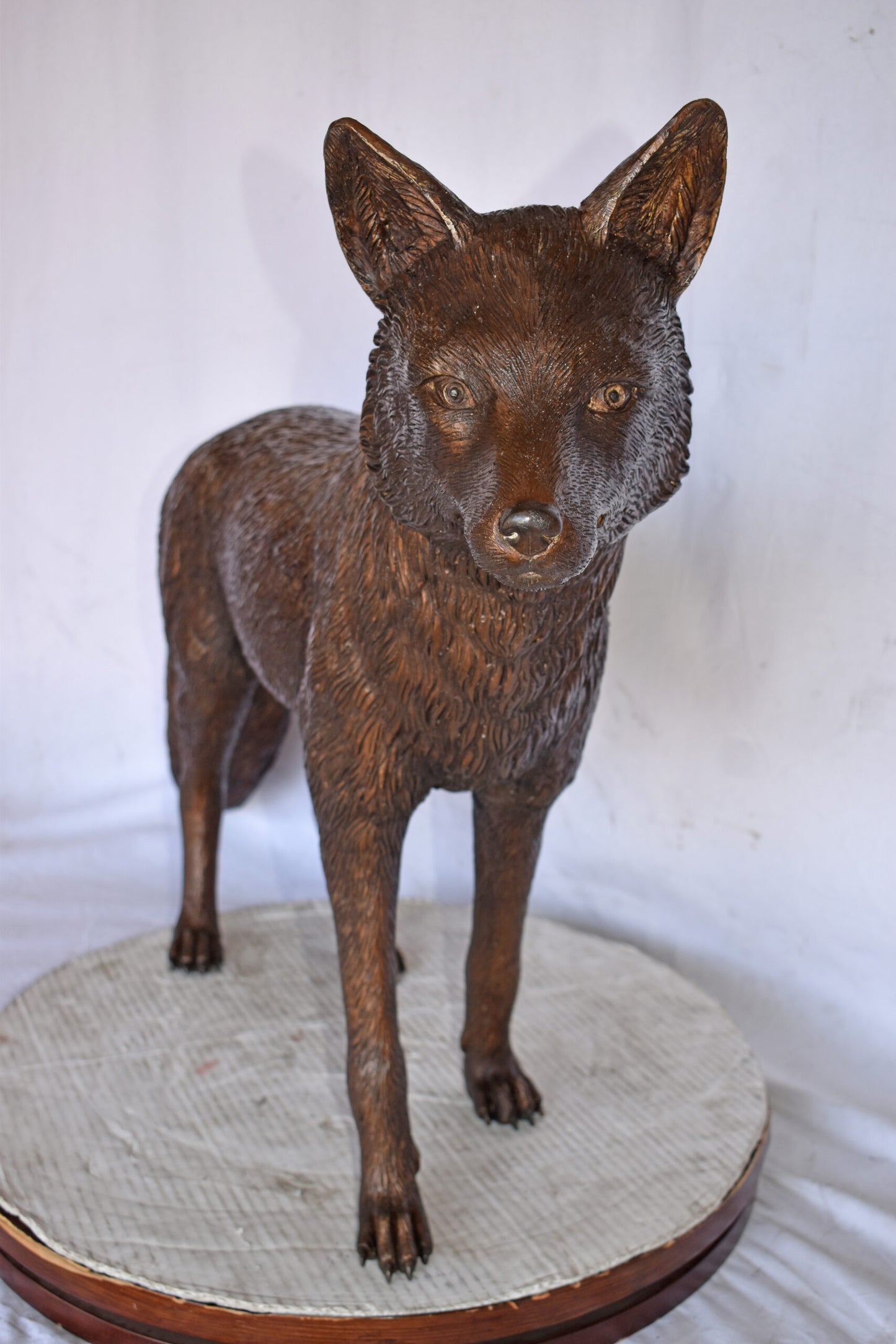 Fox Standing Life Size Bronze Statue - Size: 42"L x 9"W x 27"H.